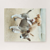 Kute Puppies die op strand spelen Legpuzzel (Horizontaal)