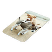 Kute Puppies die op strand spelen Magneet (Linkerzijde)