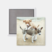 Kute Puppies die op strand spelen Magneet (Voorkant / Achterkant)