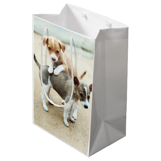 Kute Puppies die op strand spelen Medium Cadeauzakje (Achterkant Gekanteld)