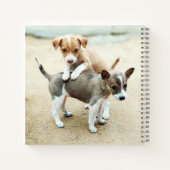 Kute Puppies die op strand spelen Notitieboek (Achterkant)