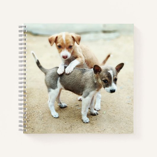 Kute Puppies die op strand spelen Notitieboek (Voorkant)