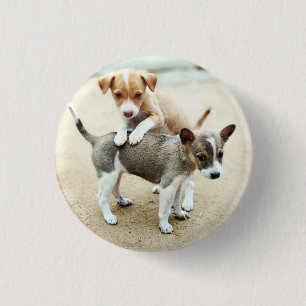 Kute Puppies die op strand spelen Ronde Button 3,2 Cm