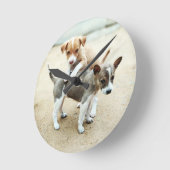 Kute Puppies die op strand spelen Ronde Klok (Hoek)