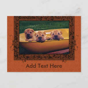 Kute Puppies Greetings Briefkaart