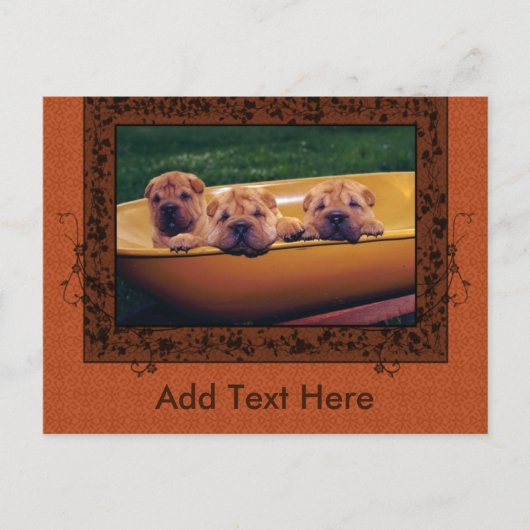 Kute Puppies Greetings Briefkaart (Voorkant)
