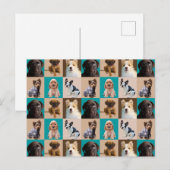 Kute Puppies Honden Dieren Collage Briefkaart (Voorkant / Achterkant)