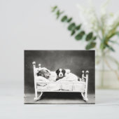 Kute Puppies in bed Briefkaart (Staand voorkant)