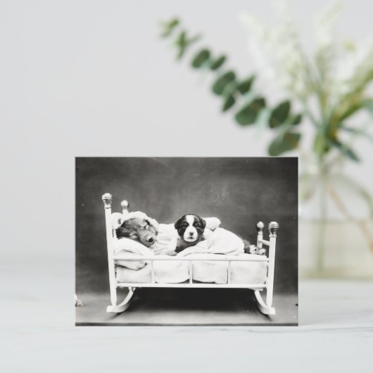 Kute Puppies in bed Briefkaart (Staand voorkant)