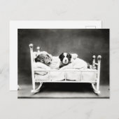 Kute Puppies in bed Briefkaart (Voorkant / Achterkant)