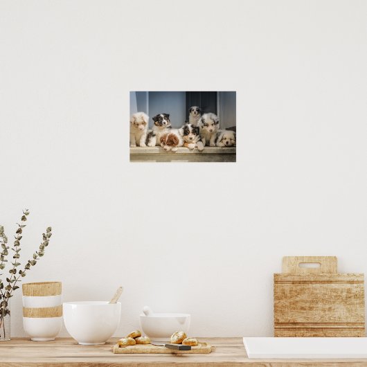 Kute Puppies Premium Canvas (glanzend) Poster (Keuken)