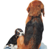 Kute puppy beagle met mama hond sleutelhanger