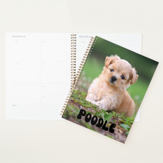 Kute puppy Calendar Planner (Display)