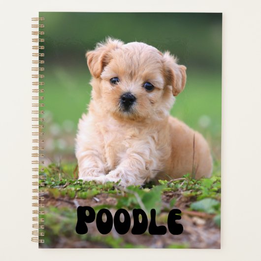 Kute puppy Calendar Planner (Voorkant)