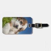 Kute puppy dog (Shitzu) Bagagelabel (Voorkant horizontaal)