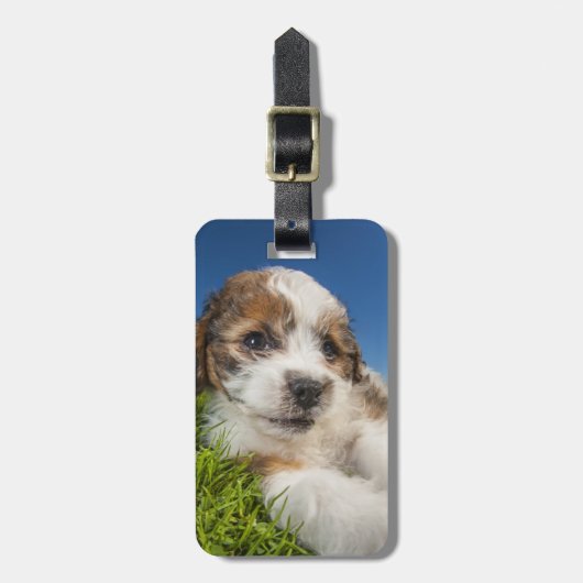 Kute puppy dog (Shitzu) Bagagelabel (Voorkant verticaal)