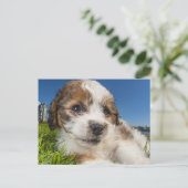 Kute puppy dog (Shitzu) Briefkaart (Staand voorkant)