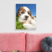 Kute puppy dog (Shitzu) Canvas Afdruk (Insitu (Woonkamer))