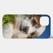 Kute puppy dog (Shitzu) Case-Mate iPhone Case (Achterkant (horizontaal))