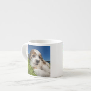 Kute puppy dog (Shitzu) Espresso Kop