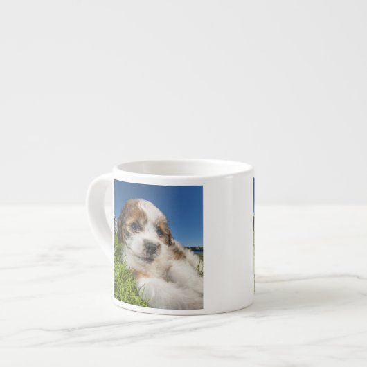 Kute puppy dog (Shitzu) Espresso Kop (Links)