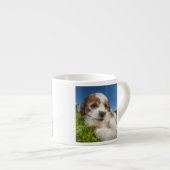 Kute puppy dog (Shitzu) Espresso Kop (Voorkant rechts)