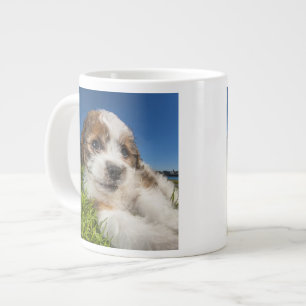 Kute puppy dog (Shitzu) Grote Koffiekop