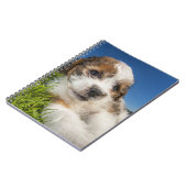 Kute puppy dog (Shitzu) Notitieboek (Linkerzijde)