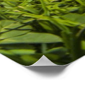 Kute puppy dog (Shitzu) Poster (Hoek)