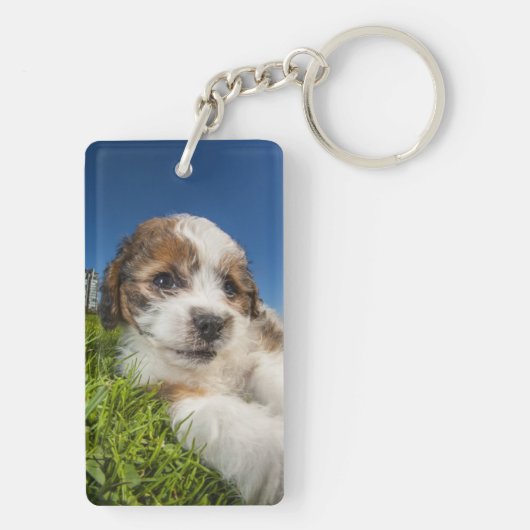 Kute puppy dog (Shitzu) Sleutelhanger (achterkant)