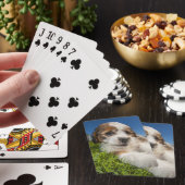 Kute puppy dog (Shitzu) Speelkaarten (Insitu)