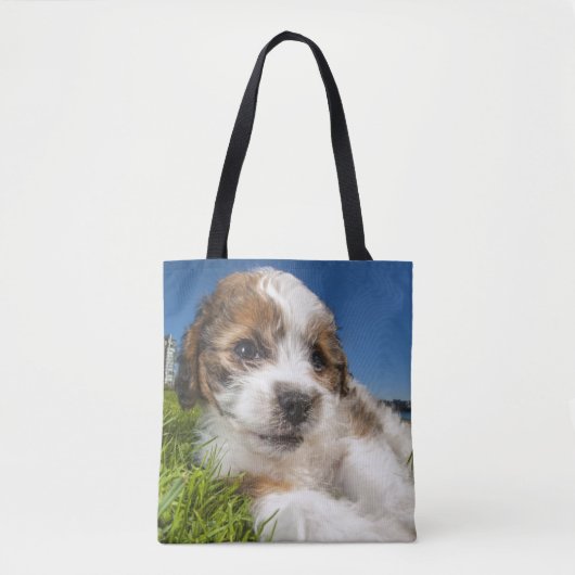 Kute puppy dog (Shitzu) Tote Bag (Voorkant)