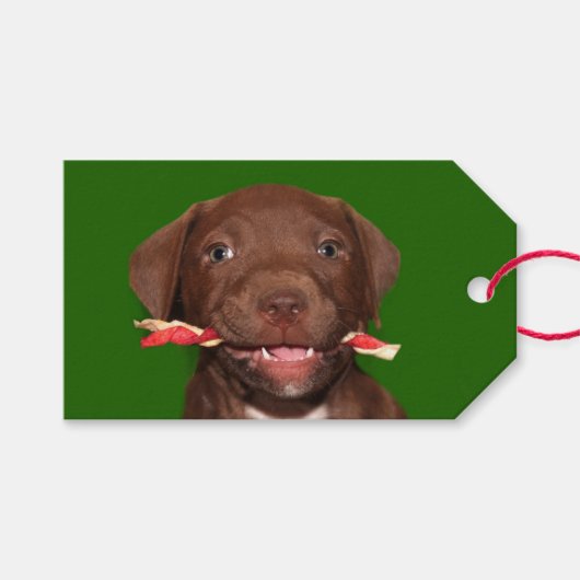 Kute puppy Kerstmis Cadeaulabel (Voorkant (Horizontaal))