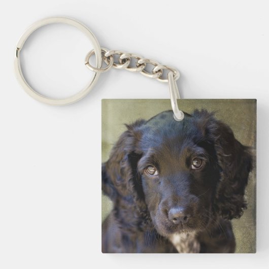 Kute puppy key chain sleutelhanger (voorkant)