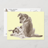 Kute puppy mixing ras met teddy dog realist art. briefkaart (Voorkant / Achterkant)