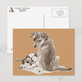 Kute puppy mixing ras met teddy dog realist art. briefkaart (Voorkant / Achterkant)