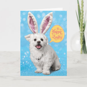 Kute puppy Weargs-Tra Special Bunny Ears Kaart