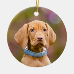 Kute puppyeyed Hungarian Vizsla Dog Puppy Photo , Keramisch Ornament