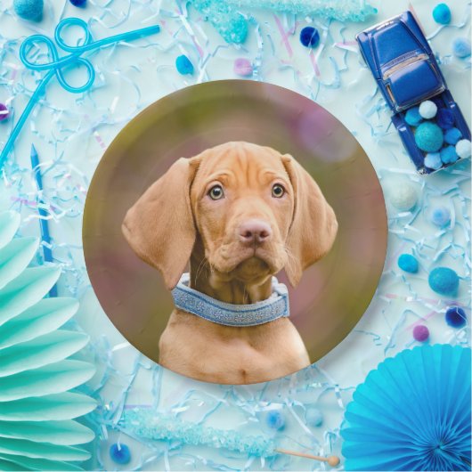 Kute puppyeyed Hungarian Vizsla Dog Puppy Photo " Papieren Bordje (Feest)