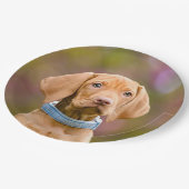 Kute puppyeyed Hungarian Vizsla Dog Puppy Photo " Papieren Bordje (Gekanteld)