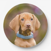 Kute puppyeyed Hungarian Vizsla Dog Puppy Photo " Papieren Bordje (Voorkant)