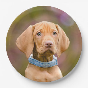 Kute puppyeyed Hungarian Vizsla Dog Puppy Photo " Papieren Bordje
