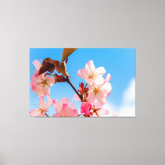 Kute Sakura Flowers open voor de lente-zonneschijn Canvas Afdruk (Voorkant)