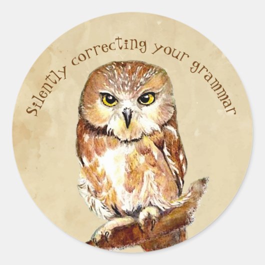 Kute Saw Whet Owl, Bird Correction Grammar Quote Ronde Sticker (Voorkant)