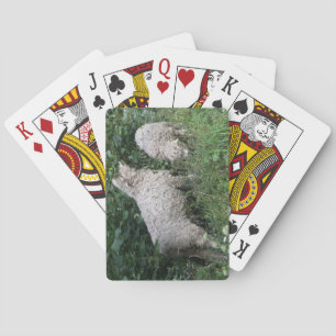 Kute schaap Eating Leaves Pplaycards Pokerkaarten