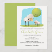 Kute schapen en lammeren, gepersonaliseerd Baby sh Kaart (Voorkant / Achterkant)