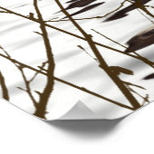 Kute schattige fluffier otter animal poster (Hoek)