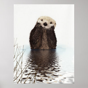 Kute schattige fluffier otter animal poster