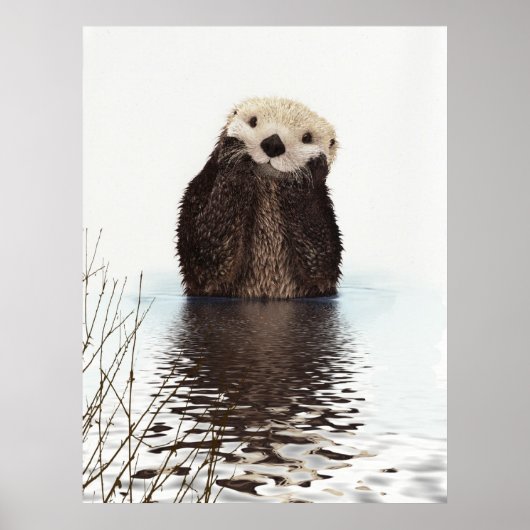 Kute schattige fluffier otter animal poster (Voorkant)