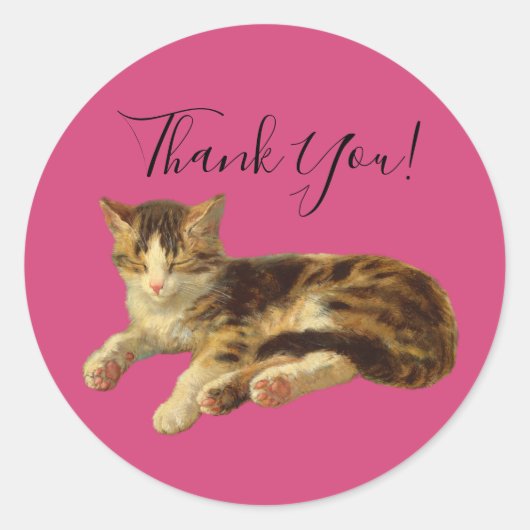 Kute Schattige Kitty Cat Dank u Magenta Manuscript Ronde Sticker (Voorkant)